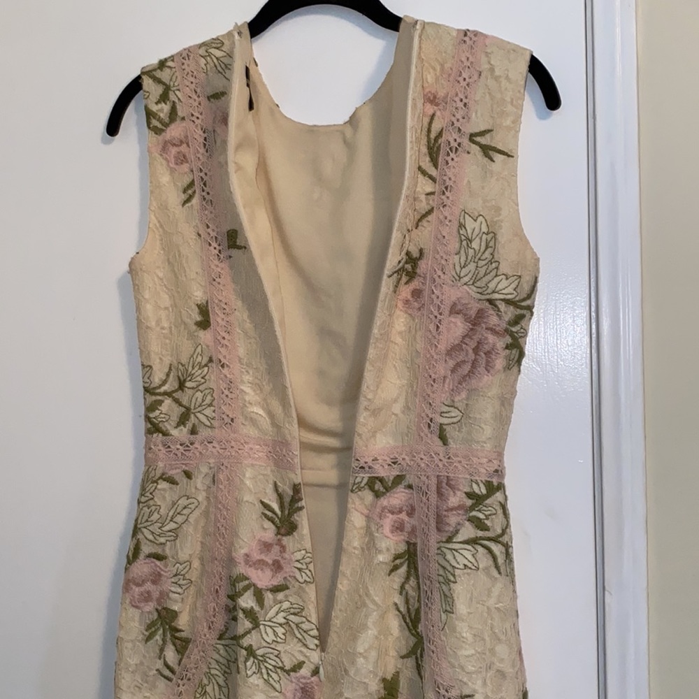 Dress the Population Penelope Sleeveless Lace Sheath Dress - Picture 12 of 12